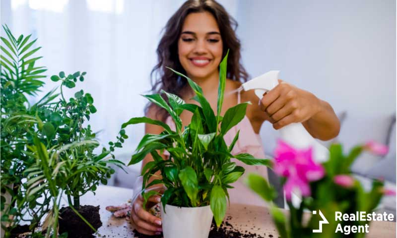 Young businesswoman sprays plants flowerpots