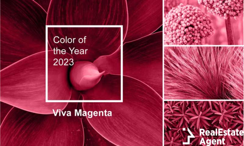 trendy color year 2023 viva magenta