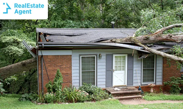 A house destroyed by act of god a tree that fell to the roof