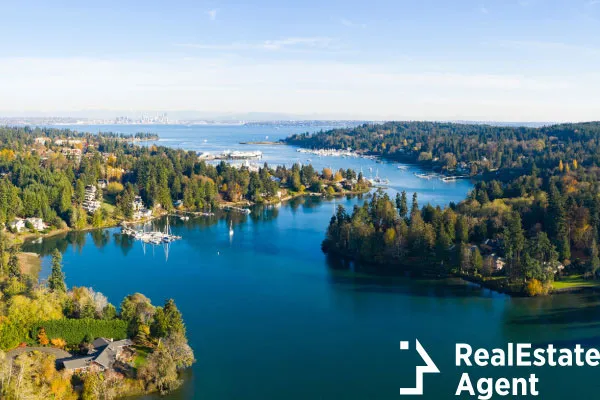 aerial view of bainbridge island