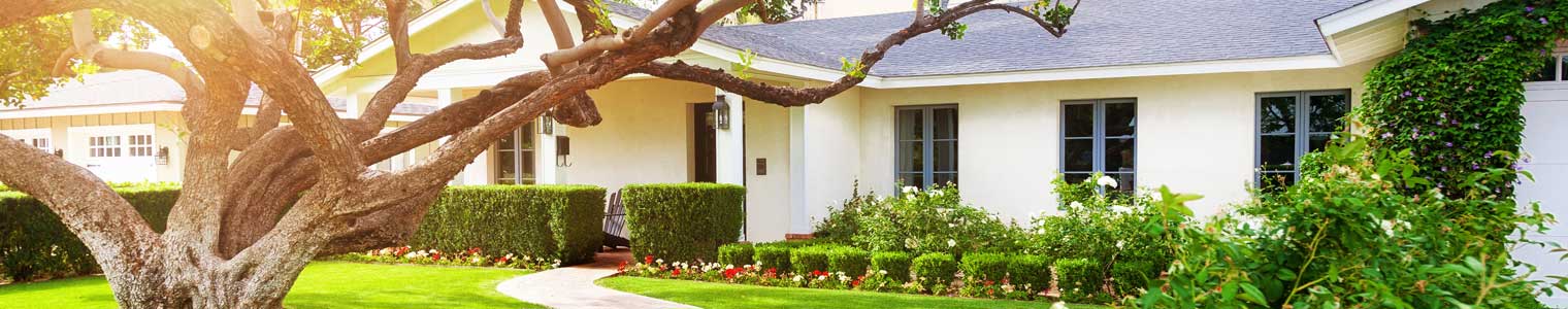 How Is The Real Estate Market In VALRICO, FL?