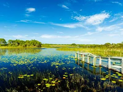 beautiful outdoor in Port Saint Lucie FL