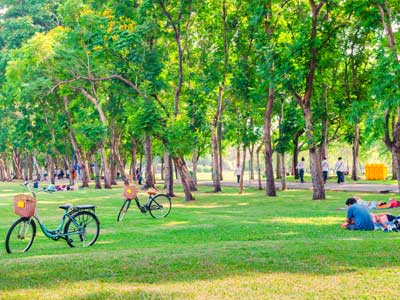 bicycle on green grass in the park while people relaxing