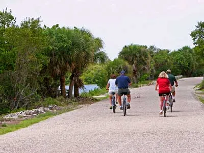 biking group on park