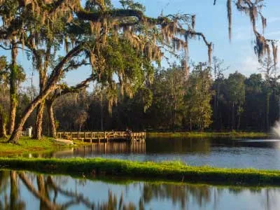 brooksville water view