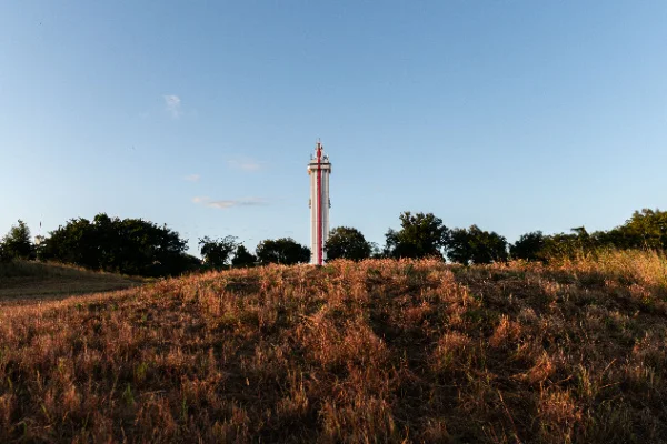 clermont florida landscape view