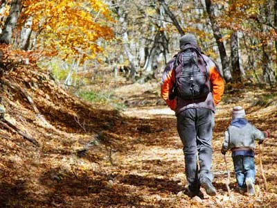 father and son walking on forest trail autumn