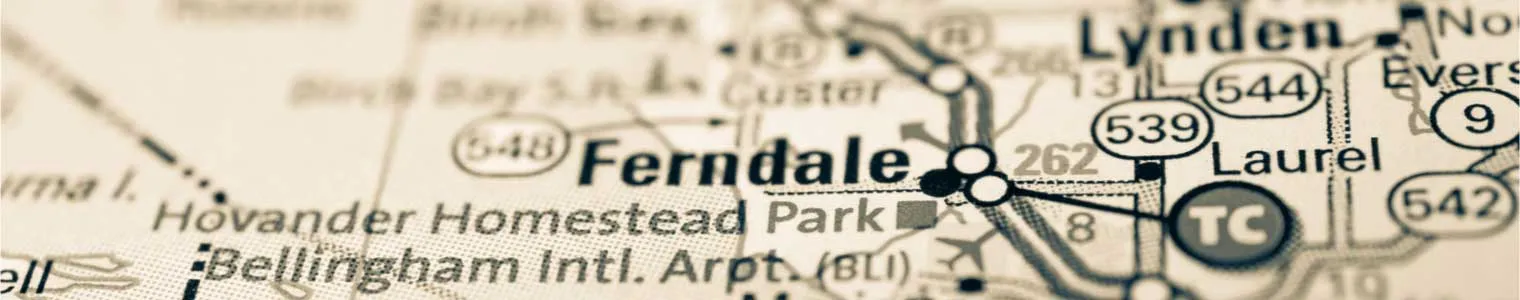 ferndale on map background