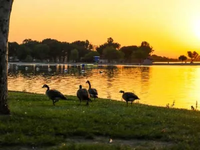 gorgeous summer landscape