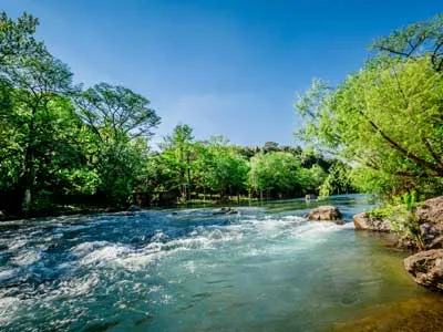 Guadalupe river from New Braunfels Texas
