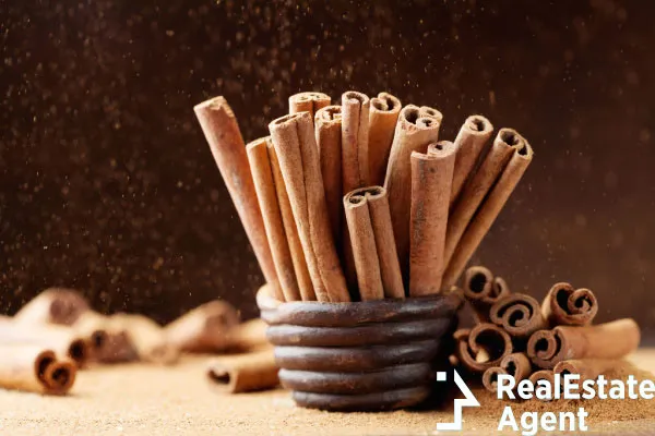 heap cinnamon sticks ground dust effect