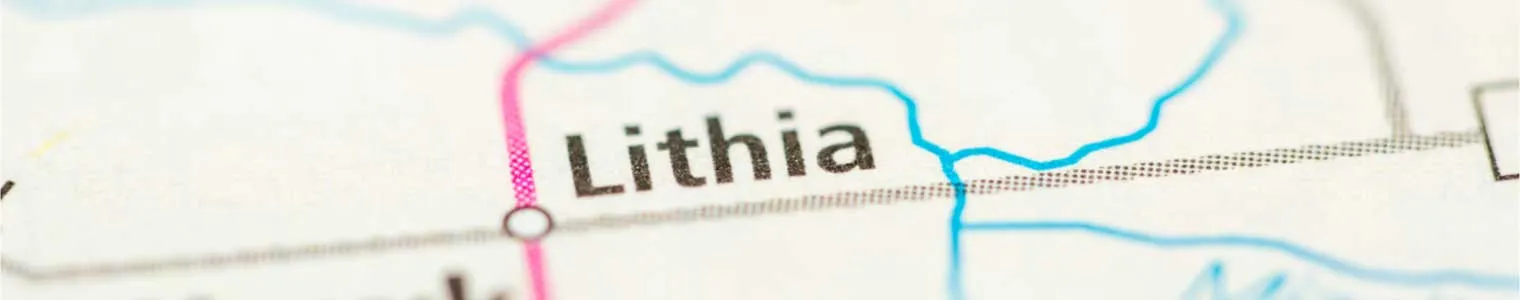 image photo of lithis