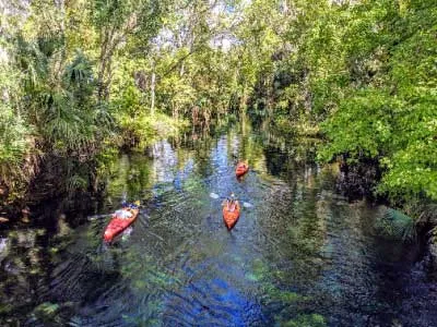 kayaking silver springs florida