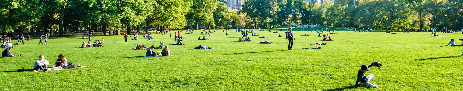 lots of people relaxing enjoying beautiful day in park