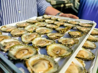 man carrying a tray of 30 oysters at some festival