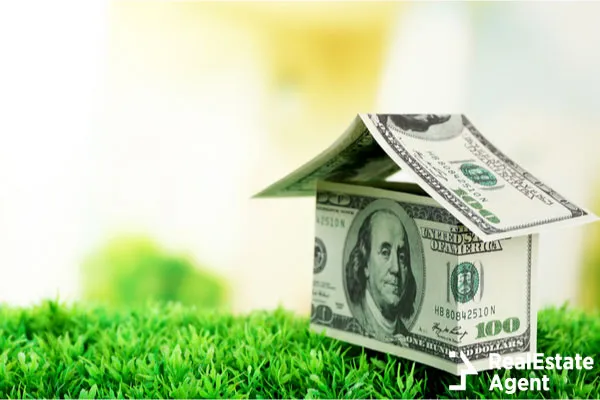 money house on green grass
