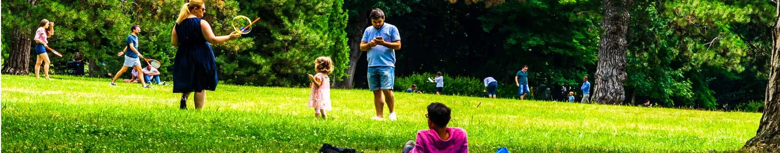 lots of people enjoying the outdoors of a public park