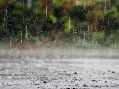 falling rain on road