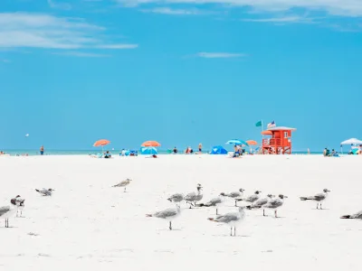 siesta beach sarasota