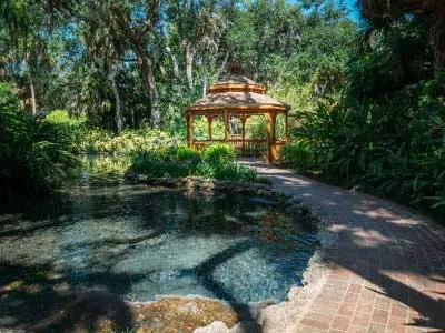 small pool washington oask gardens