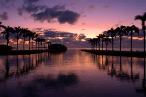 cluter bay near miami