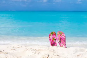 How Is The Economy In SARASOTA, FL?