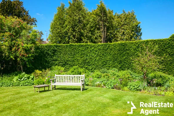 wooden bench in a summer garden