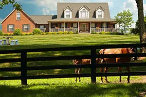 Horse farm real estate agent template