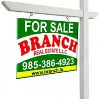 Branch Real Estate<br><Br> Charlene Branch Daniels Broker/Owner real estate agent