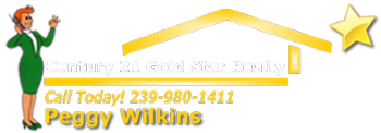 Century 21 Gold Star Realty