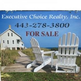 Executive Choice Realty, Inc.