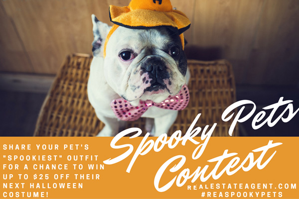 The Spooky Pets Facebook Contest image
