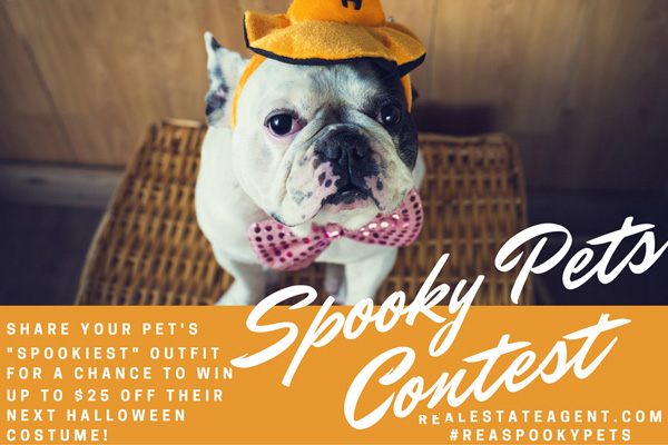 The Spooky Pets Facebook Contest The Spooky Pets Facebook Contest image