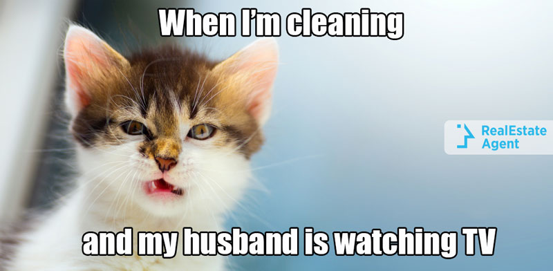 Meme cat when I'm cleaning and my husband is watching TV