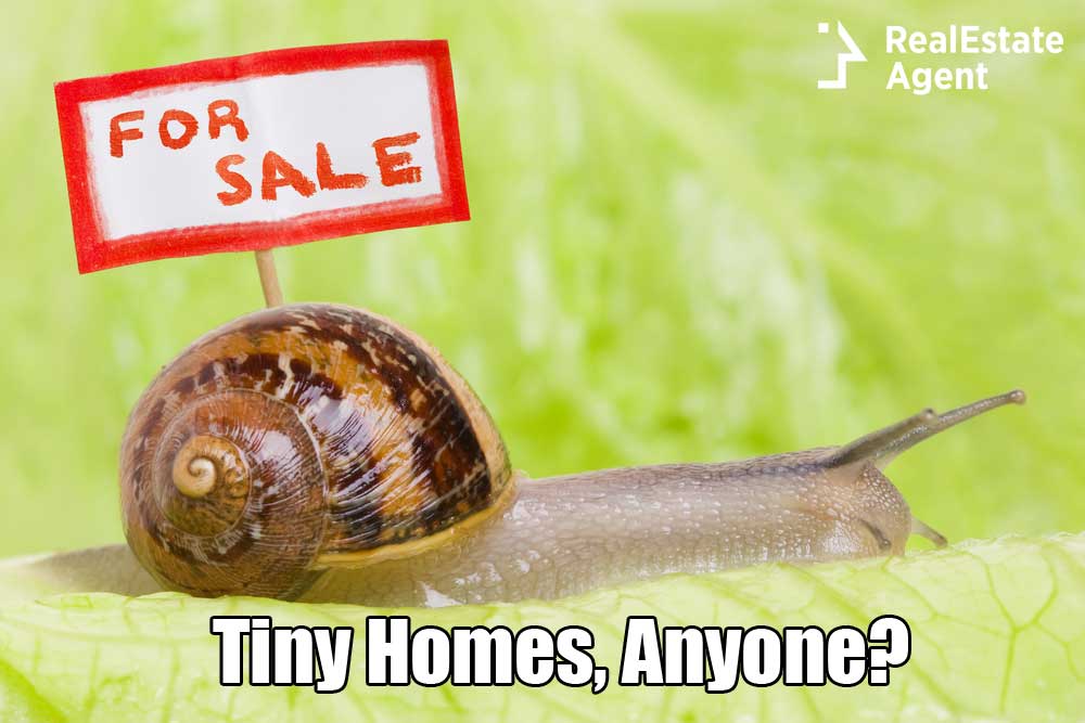 Tiny Homes Real Estate Meme