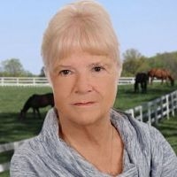 Dianne  Stern real estate agent